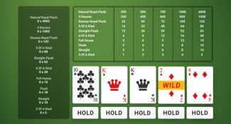 1-dicas-e-estrategias-para-video-poker-deuces-wild-480-260-325x175sw