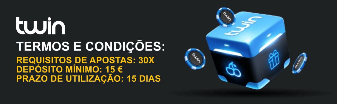 Twin termos e condições