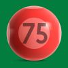 imagem do bingo de 75 bolas