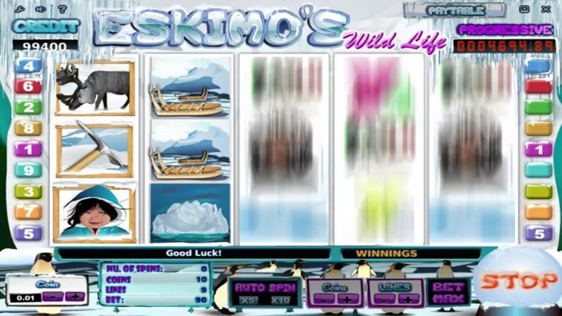 Eskimo’s Wild Life Slot