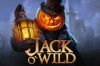 Jack O'Wild - imagem