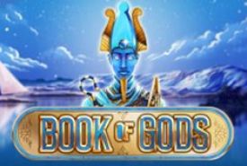 Book of Gods slot logo