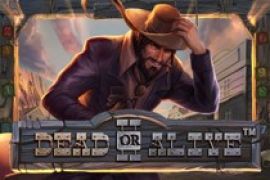 Dead or Alive 2 slot logo