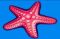 estrelas-do-mar-60x60s