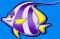 peixe-branco-roxo-60x60s