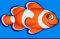 peixe-laranja-60x60s