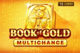 Book of Gold Multichance slot logo