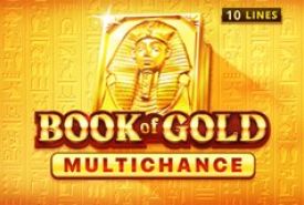 Book of Gold Multichance slot logo