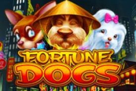 Fortune Dogs slot logo
