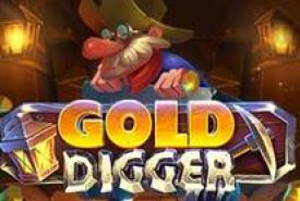 Gold Digger Revisão