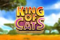 King of Cats slot