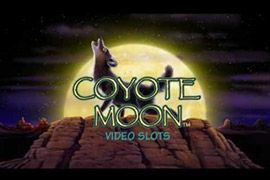 Coyote Moon