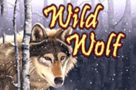 Wild Wolf