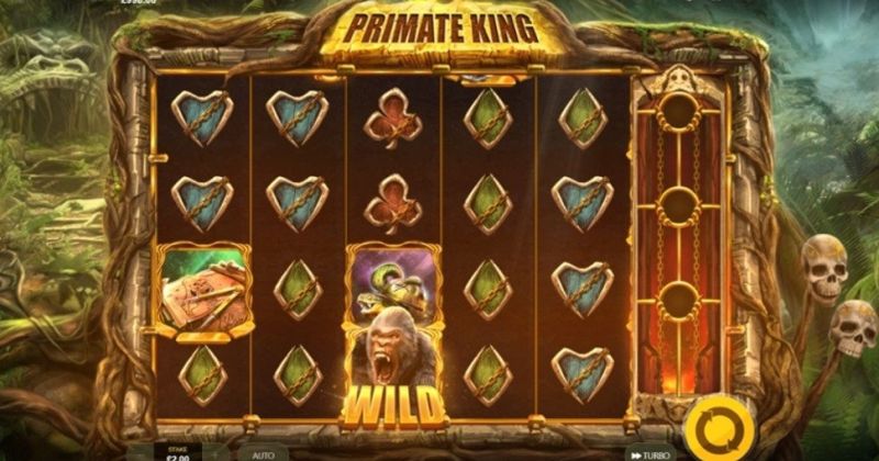 Jogue Primate King: slot online da Red Tiger slot online gratuitamente | Casino Portugal