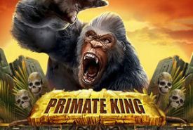 Primate King Revisão
