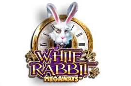 white-rabbit-270x180s