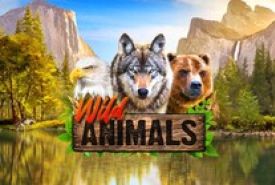 Wild Animals Revisão